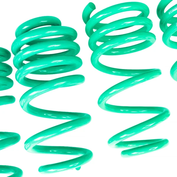 美國 IE 奧迪 B10 S5 專用短彈簧 Lowering Springs